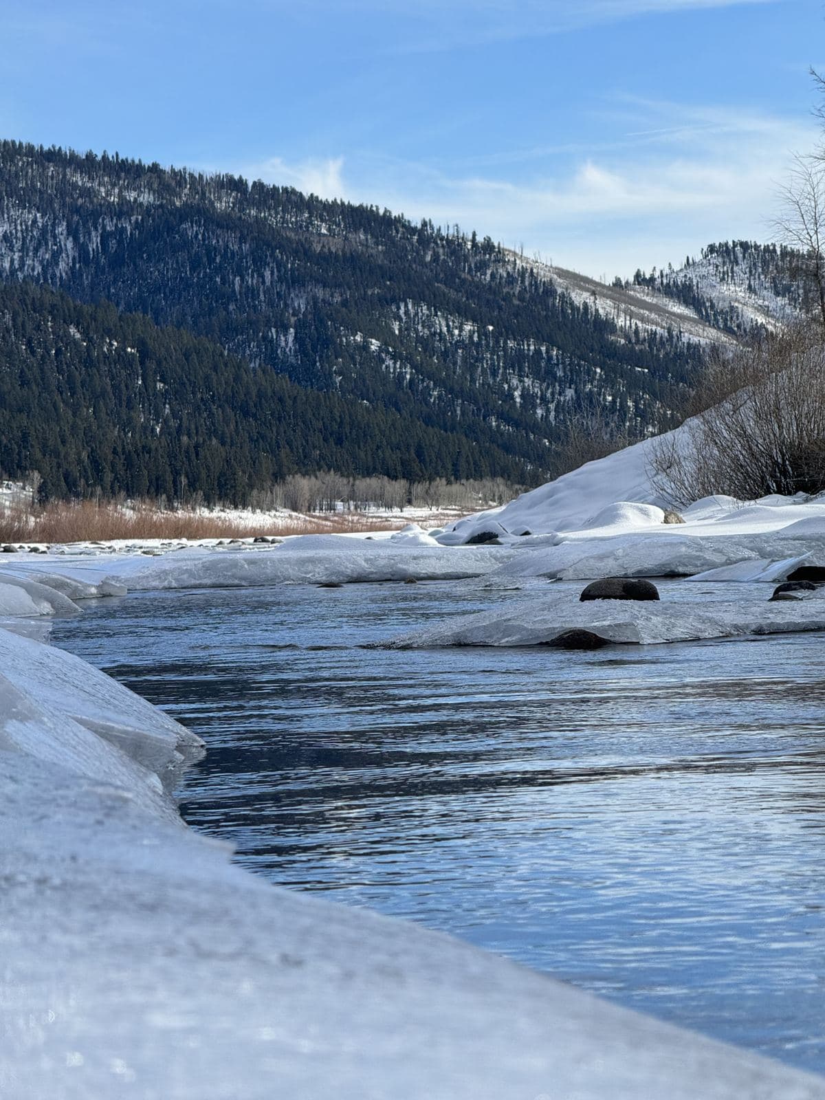 Nature River Winter