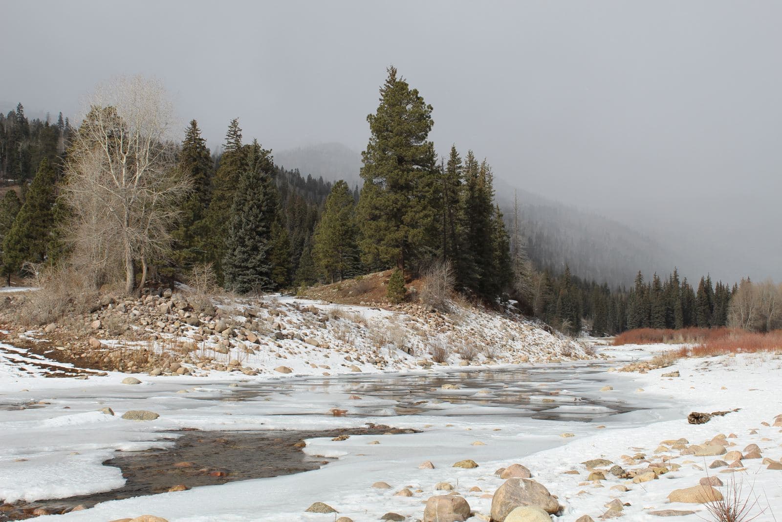 Nature River Winter