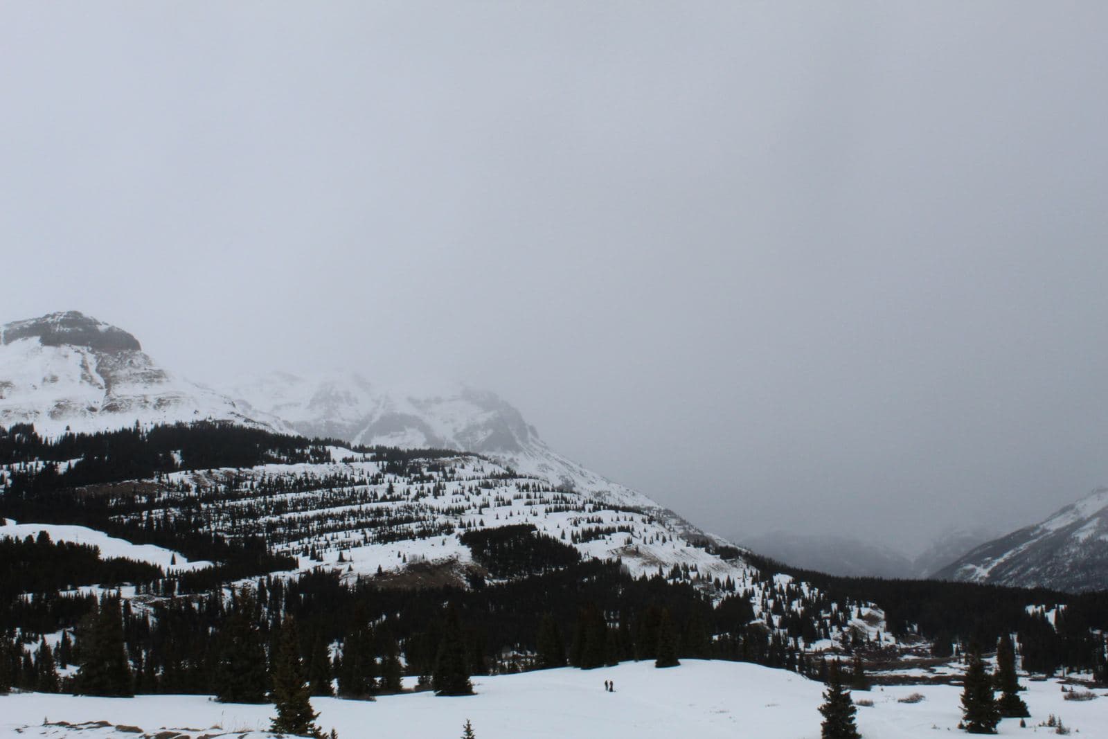 Nature San Juan Mountains