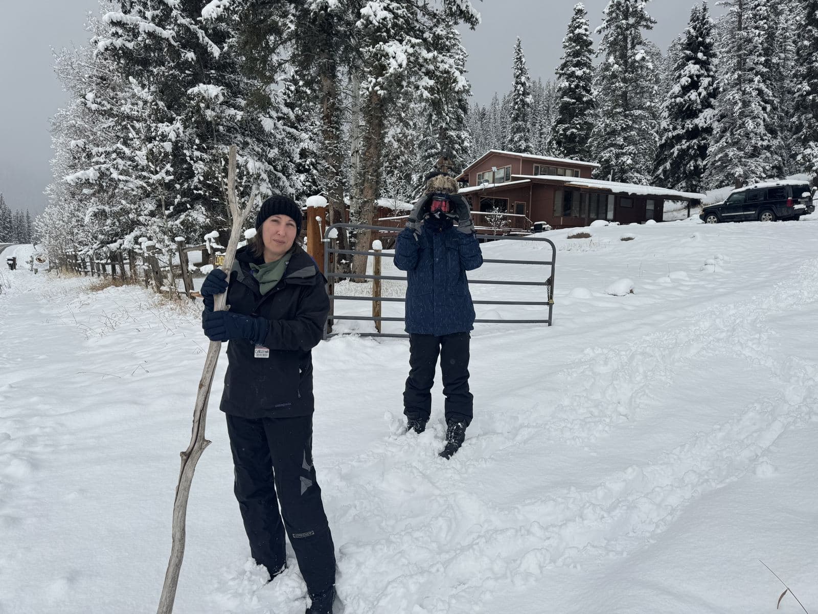 Winter Cabin Walk