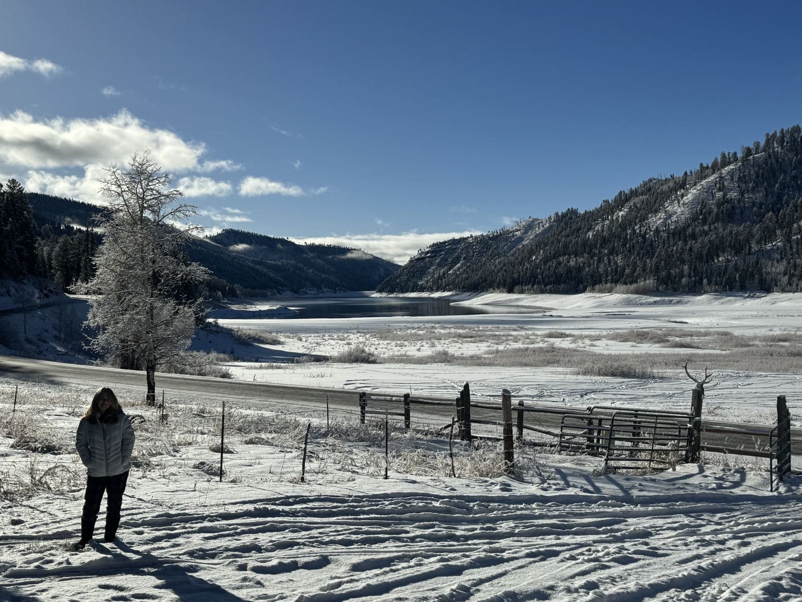 Winter Lemon Lake Field