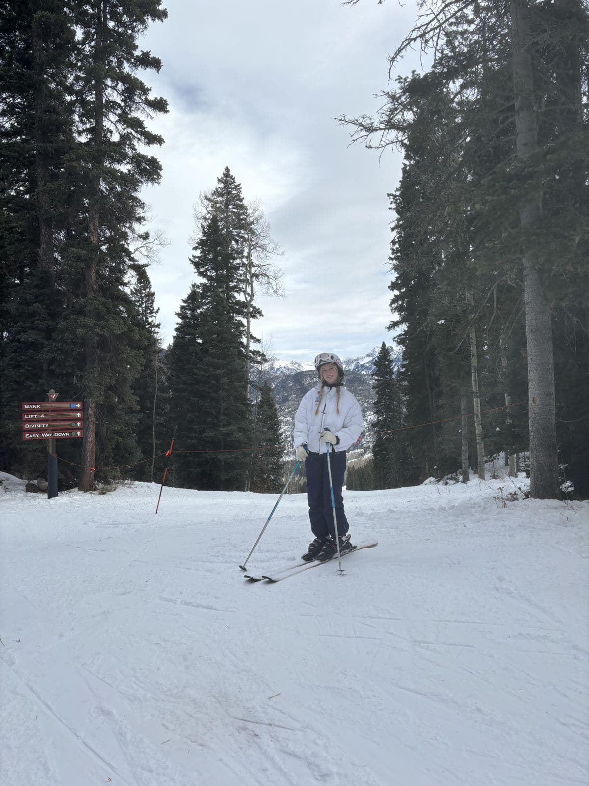 Winter Skiing Trees